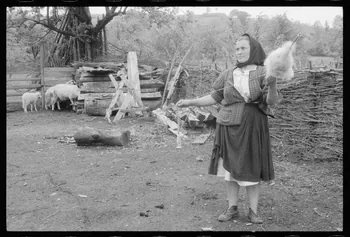 Jean Cuisenier photographie Enquête conduite par Jean Cuisenier en Roumanie (mai 1973) Roumanie 1973/5/1 Ph.1974.3.255 Photo
