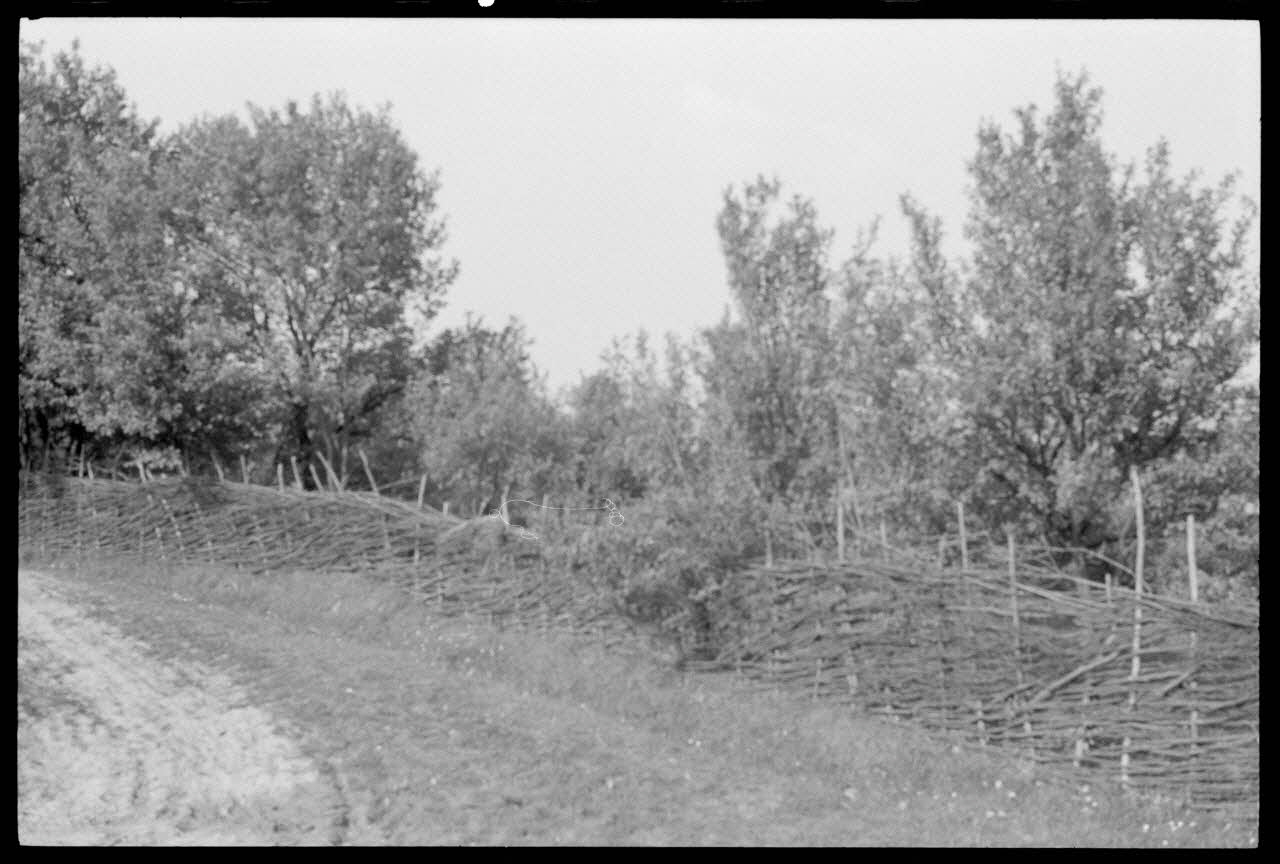 Jean Cuisenier photographie Enquête conduite par Jean Cuisenier en Roumanie (mai 1973) Roumanie 1973/5/1 Ph.1974.3.42 Photo