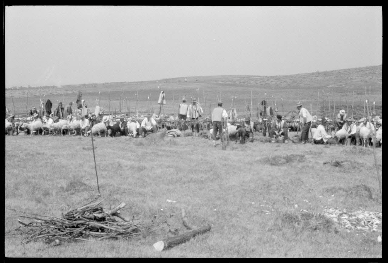 Jean Cuisenier photographie Enquête conduite par Jean Cuisenier en Roumanie (mai 1973) Roumanie 1973/5/1 Ph.1974.3.52 Photo