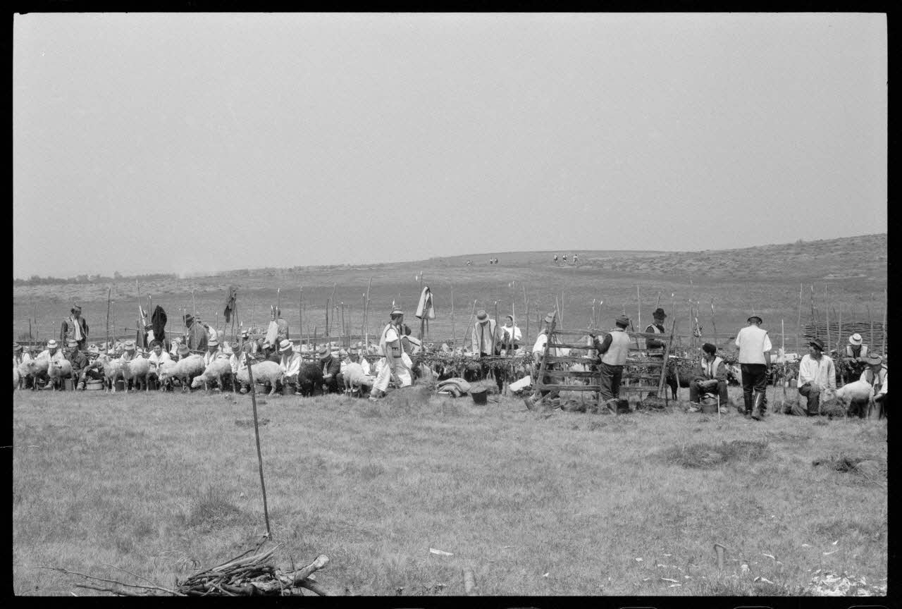 Jean Cuisenier photographie Enquête conduite par Jean Cuisenier en Roumanie (mai 1973) Roumanie 1973/5/1 Ph.1974.3.53 Photo