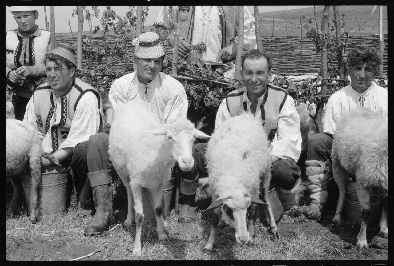 Jean Cuisenier photographie Enquête conduite par Jean Cuisenier en Roumanie (mai 1973) Roumanie 1973/5/1 Ph.1974.3.54 Photo