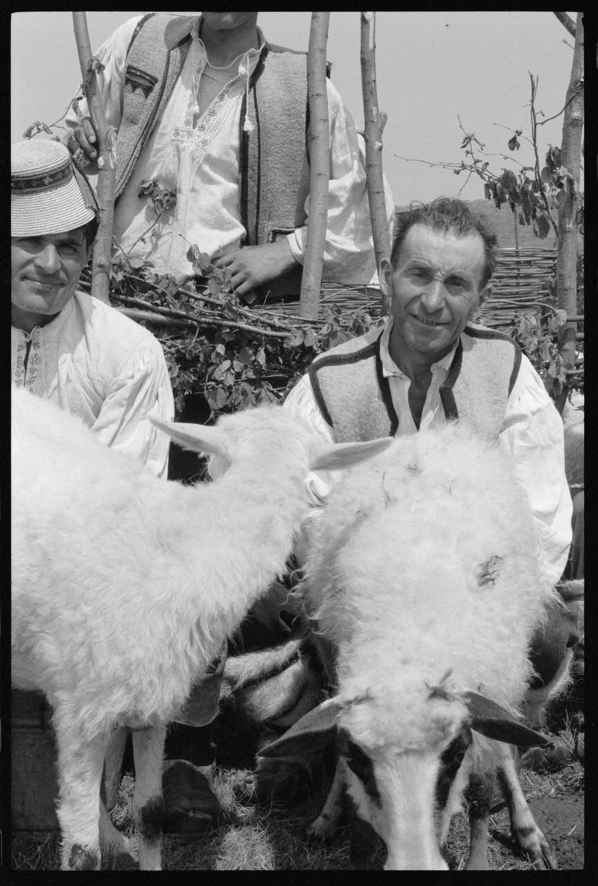 Jean Cuisenier photographie Enquête conduite par Jean Cuisenier en Roumanie (mai 1973) Roumanie 1973/5/1 Ph.1974.3.55 Photo