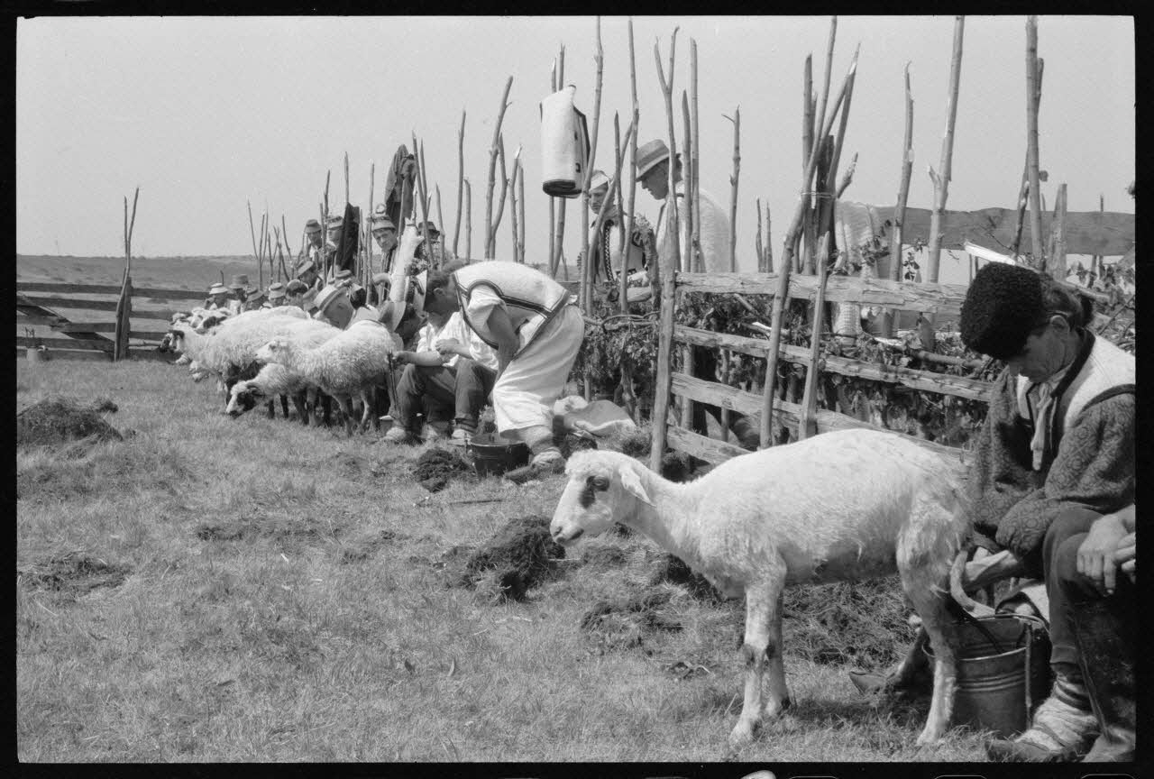 Jean Cuisenier photographie Enquête conduite par Jean Cuisenier en Roumanie (mai 1973) Roumanie 1973/5/1 Ph.1974.3.56 Photo