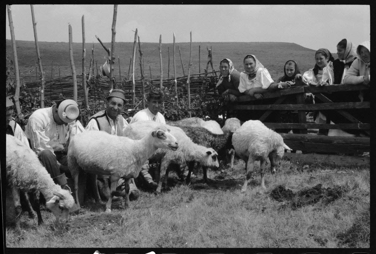 Jean Cuisenier photographie Enquête conduite par Jean Cuisenier en Roumanie (mai 1973) Roumanie 1973/5/1 Ph.1974.3.65 Photo