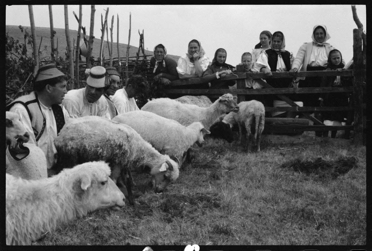 Jean Cuisenier photographie Enquête conduite par Jean Cuisenier en Roumanie (mai 1973) Roumanie 1973/5/1 Ph.1974.3.66 Photo