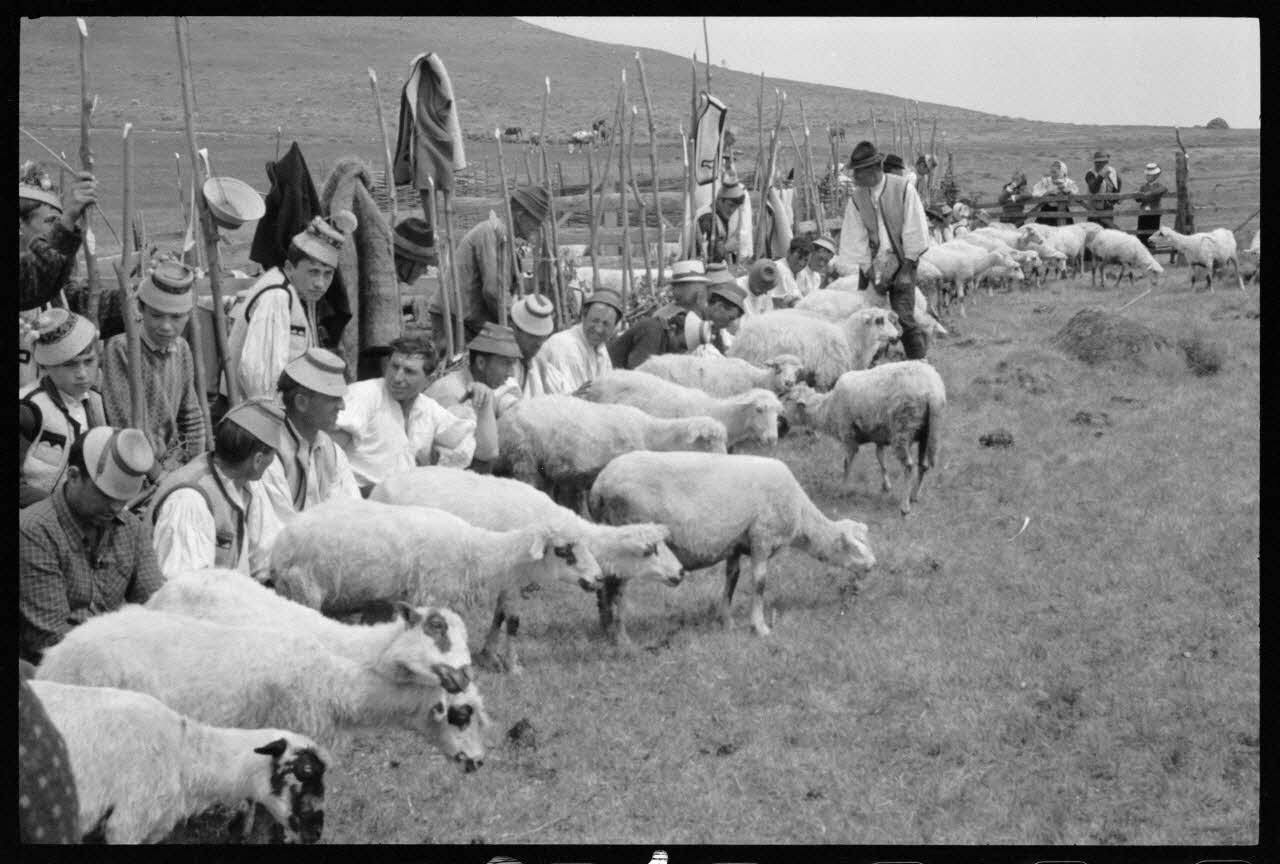 Jean Cuisenier photographie Enquête conduite par Jean Cuisenier en Roumanie (mai 1973) Roumanie 1973/5/1 Ph.1974.3.67 Photo