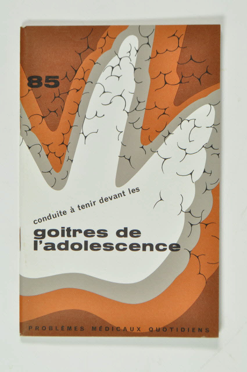 revue professionnelle 1970 2000.60.370.4 Photo Mucem