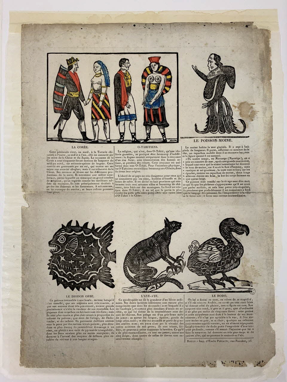 Emile Périaux canard LA COREE.  O-TAHITIENS.  LE POISSON-MOINE.  LE DIODON ORBE.   L'AYE-AYE.  LE DODO. Rouen 1824-1860 1938.25.95 Photo