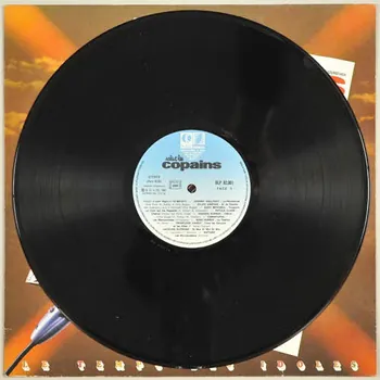 disque 33 tours Salut les copains - Le temps des idoles 2001.69.16.43.1-2 Photo