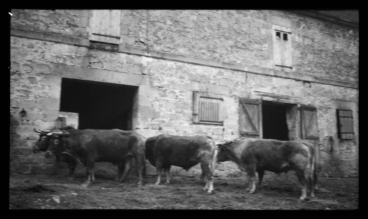 Levert photographie Chez Monsieur Scart. Ferme de Monsieur Ferluc. Bouveries Picardie, France 1944/5/10 Ph.1944.103.29 Photo