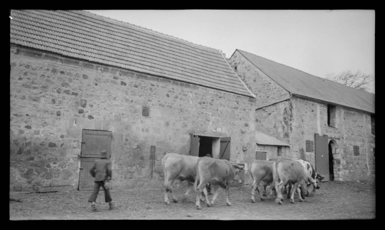 Levert photographie Ferme de Madame Veuve Gaudron. Intérieur avec les écuries Picardie, France 1944/5/20 Ph.1944.103.50 Photo