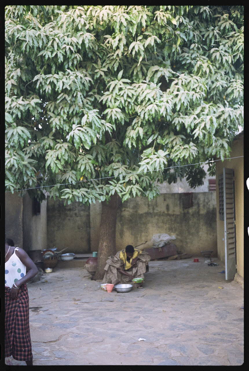 photographie MNATP. Exposition. Liens de famille (17 avril 1991 - 29 juillet 1991) Ph.1991.120.39 Photo