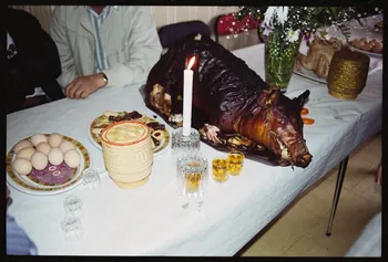 photographie Pratiques et comportements des minorités en France : croyances et rites accouchement - naissance. Rituel de naissance Hmong (cf. Minute) Ile-de-France, France 1991 Ph.1991.121.91  Photo