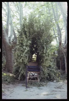 photographie (ph.1 à 38).fete de st eloi Ph.1995.65.30  Photo