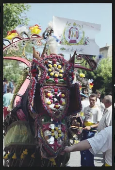 photographie (ph.1 à 38).fete de st eloi Ph.1995.65.34  Photo