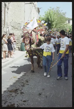 photographie (ph.1 à 38).fete de st eloi Ph.1995.65.35  Photo