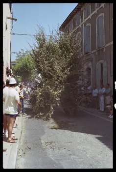 photographie (ph.1 à 38).fete de st eloi Ph.1995.65.37  Photo