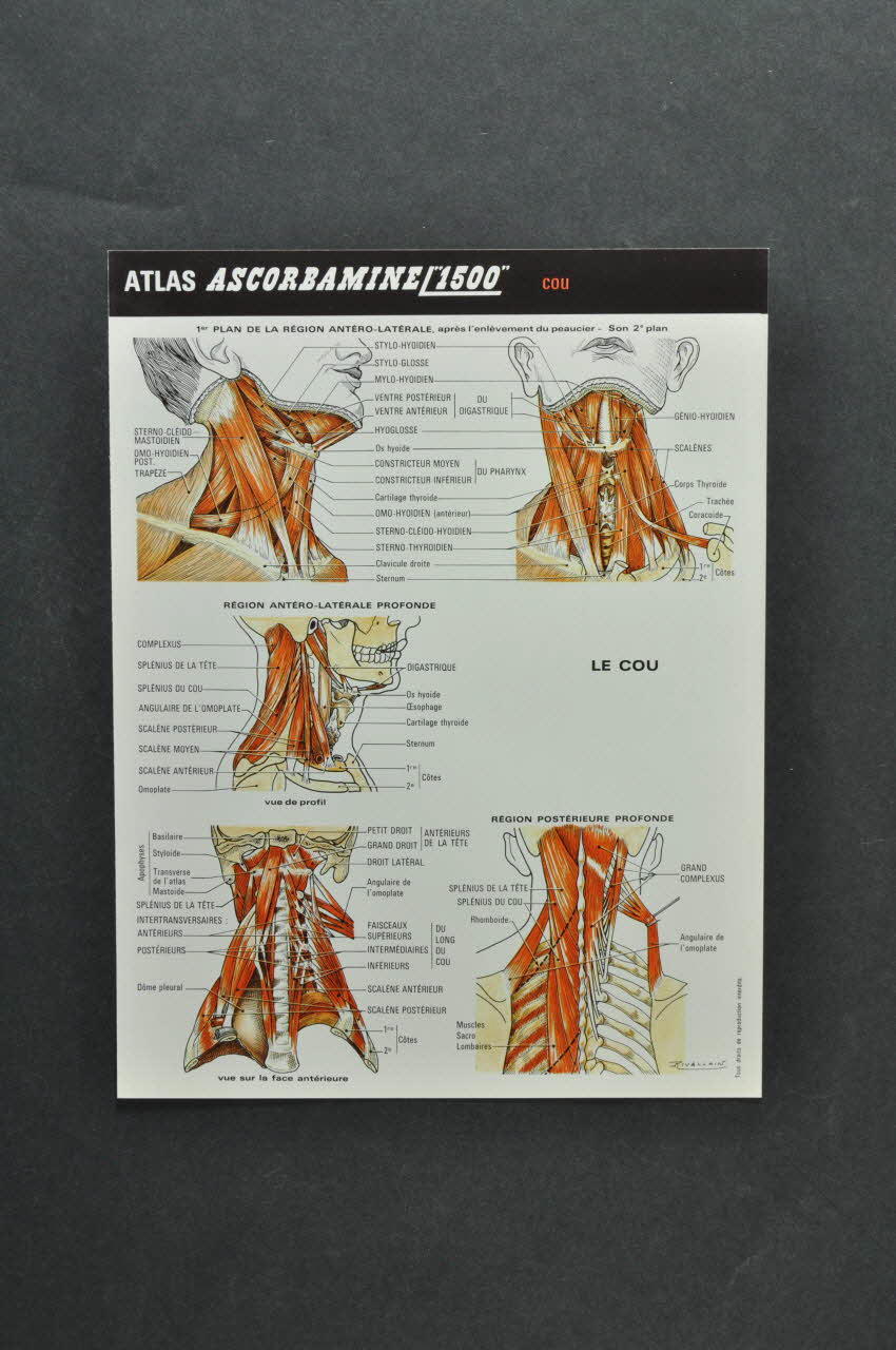 FICHE 1970 2000.60.523.5 Photo Mucem