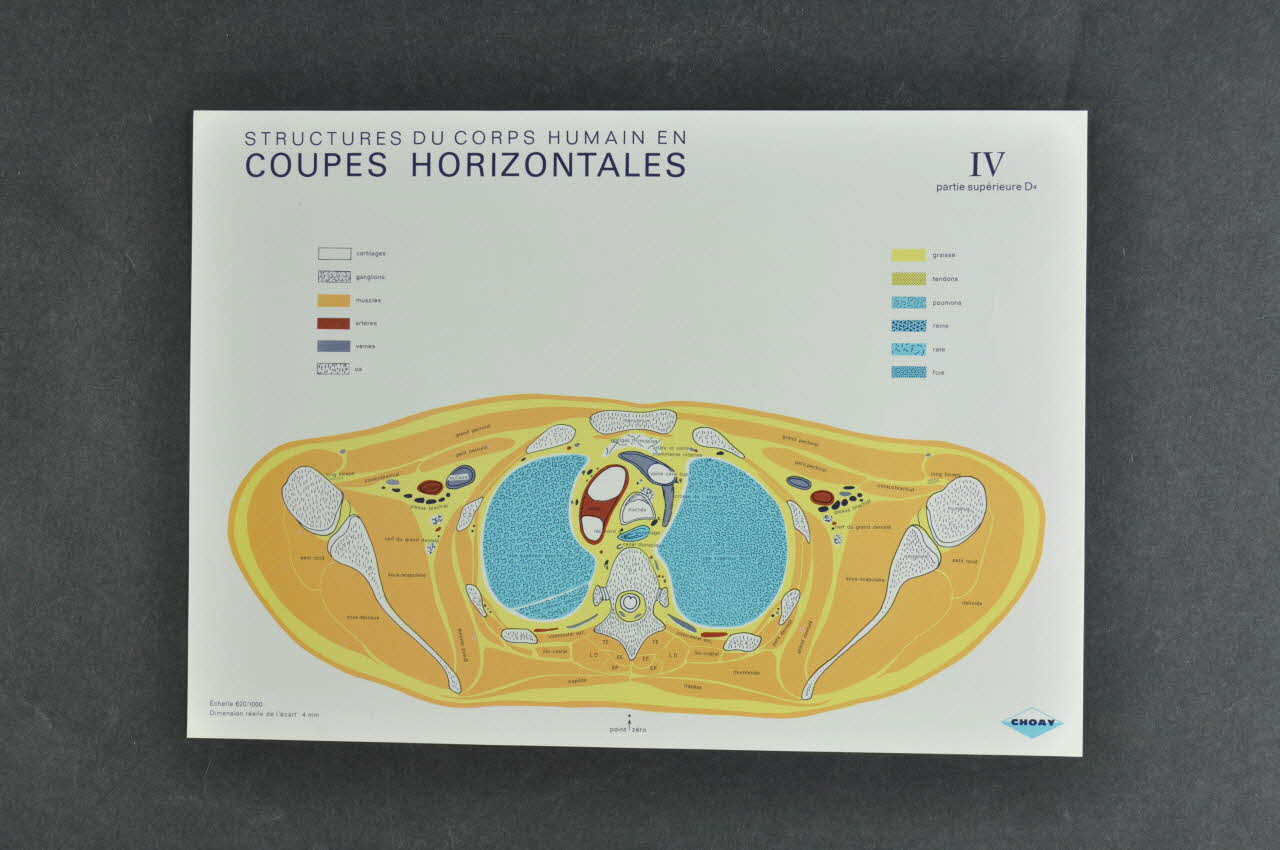 FICHE 1970 2000.60.526.14 Photo Mucem