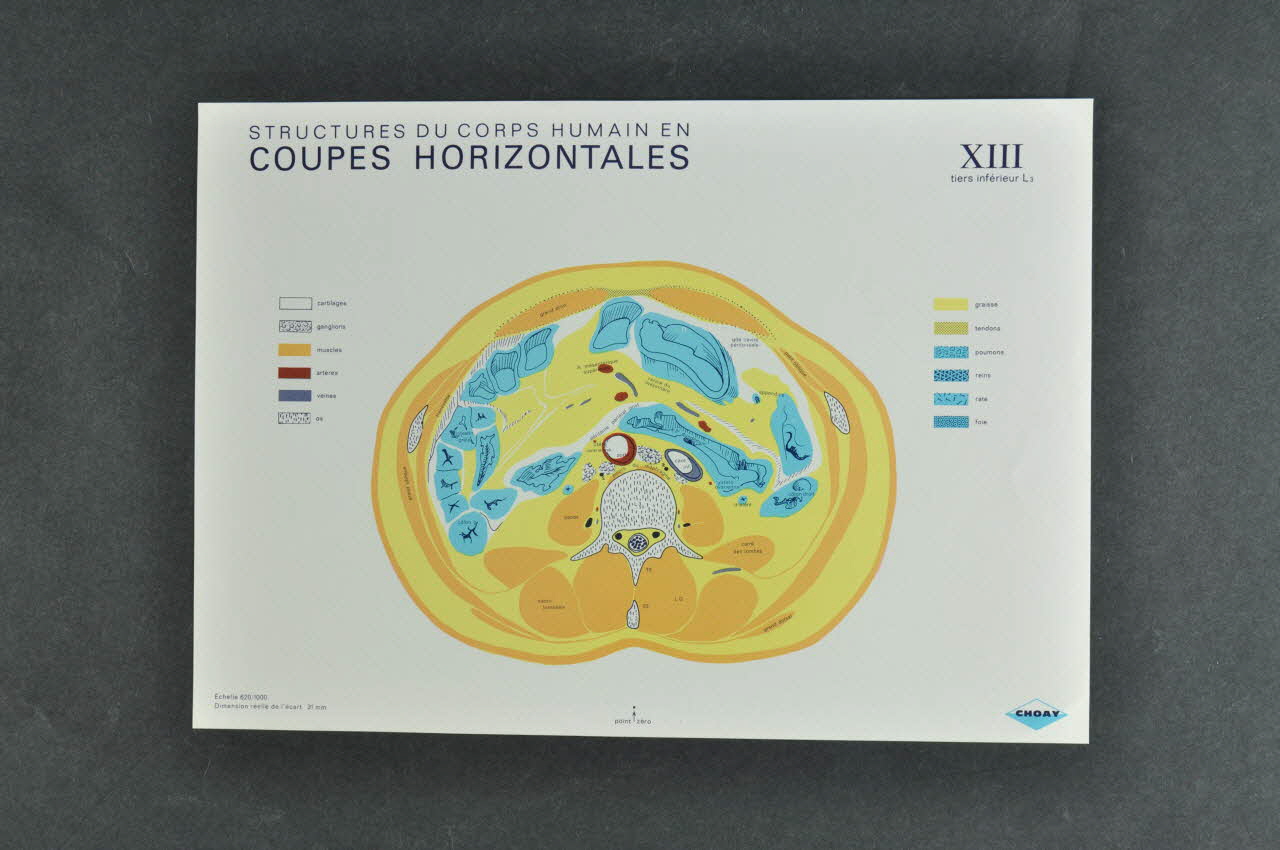 FICHE 1970 2000.60.526.7 Photo Mucem