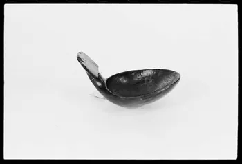 photographie Cuiller à crème Ph.1977.1.1018 Photo