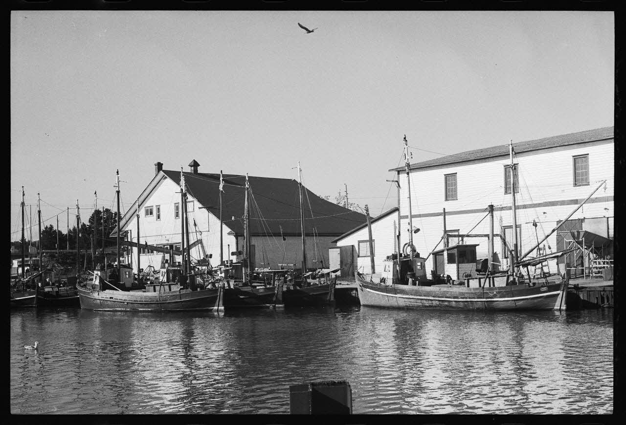 Jean Cuisenier photographie Enquête conduite par Jean Cuisenier au Québec (septembre 1976) Province du Québec, Canada 1976/9/1 Ph.1977.8.33 Photo