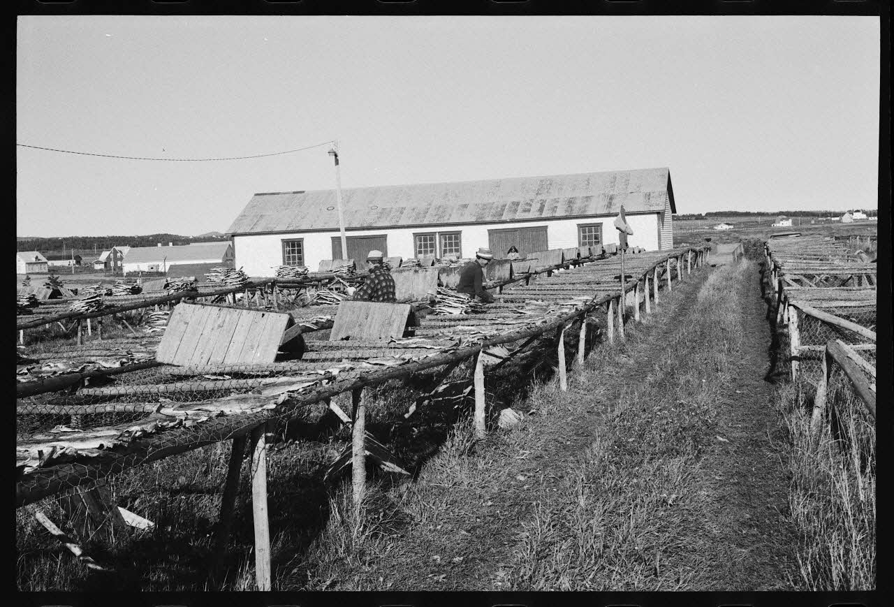 Jean Cuisenier photographie Enquête conduite par Jean Cuisenier au Québec (septembre 1976) Province du Québec, Canada 1976/9/1 Ph.1977.8.37 Photo