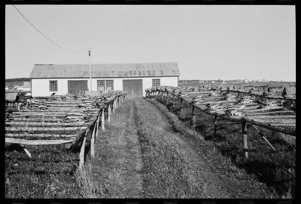 Jean Cuisenier photographie Enquête conduite par Jean Cuisenier au Québec (septembre 1976) Province du Québec, Canada 1976/9/1 Ph.1977.8.38 Photo