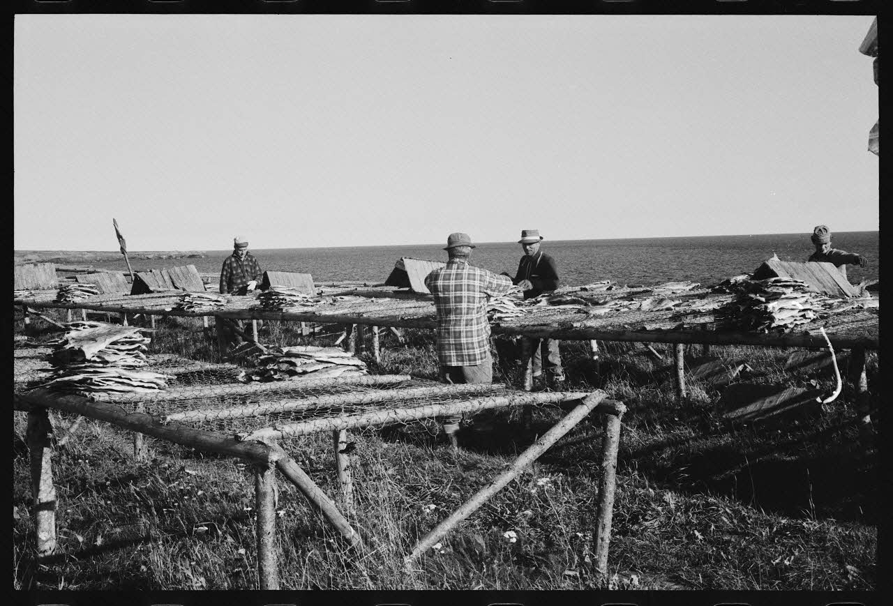 Jean Cuisenier photographie Enquête conduite par Jean Cuisenier au Québec (septembre 1976) Province du Québec, Canada 1976/9/1 Ph.1977.8.39 Photo