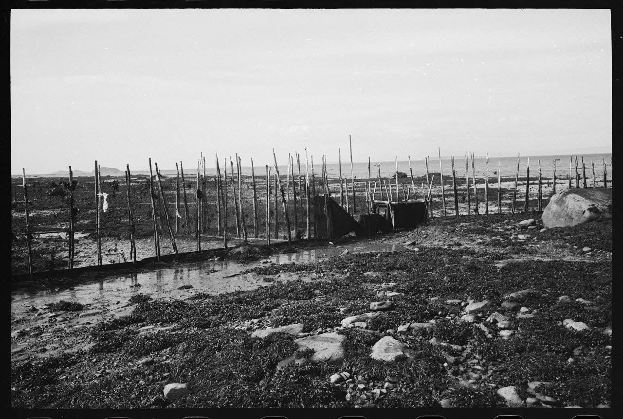 Jean Cuisenier photographie Enquête conduite par Jean Cuisenier au Québec (septembre 1976) Province du Québec, Canada 1976/9/1 Ph.1977.8.41 Photo