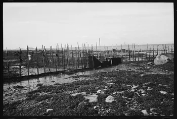 Jean Cuisenier photographie Enquête conduite par Jean Cuisenier au Québec (septembre 1976) Province du Québec, Canada 1976/9/1 Ph.1977.8.41 Photo