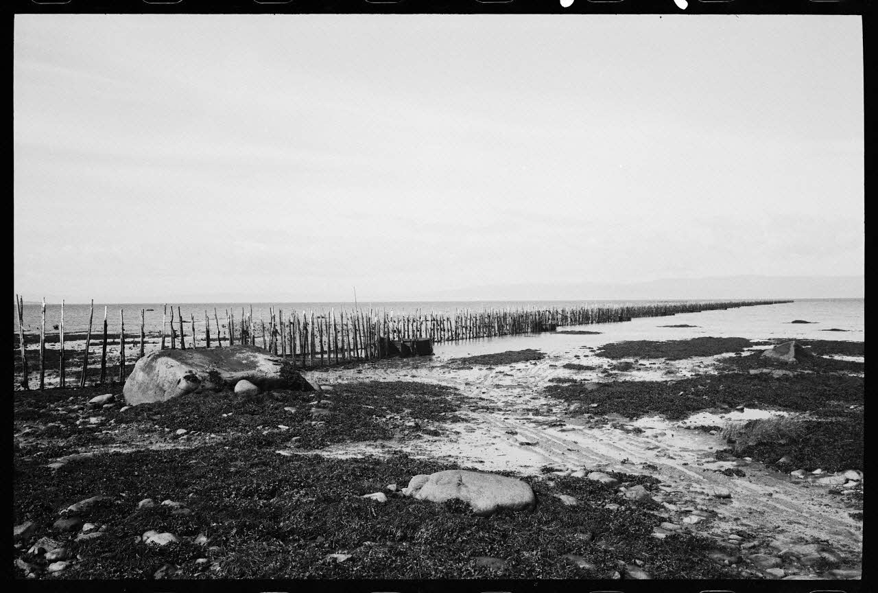 Jean Cuisenier photographie Enquête conduite par Jean Cuisenier au Québec (septembre 1976) Province du Québec, Canada 1976/9/1 Ph.1977.8.43 Photo