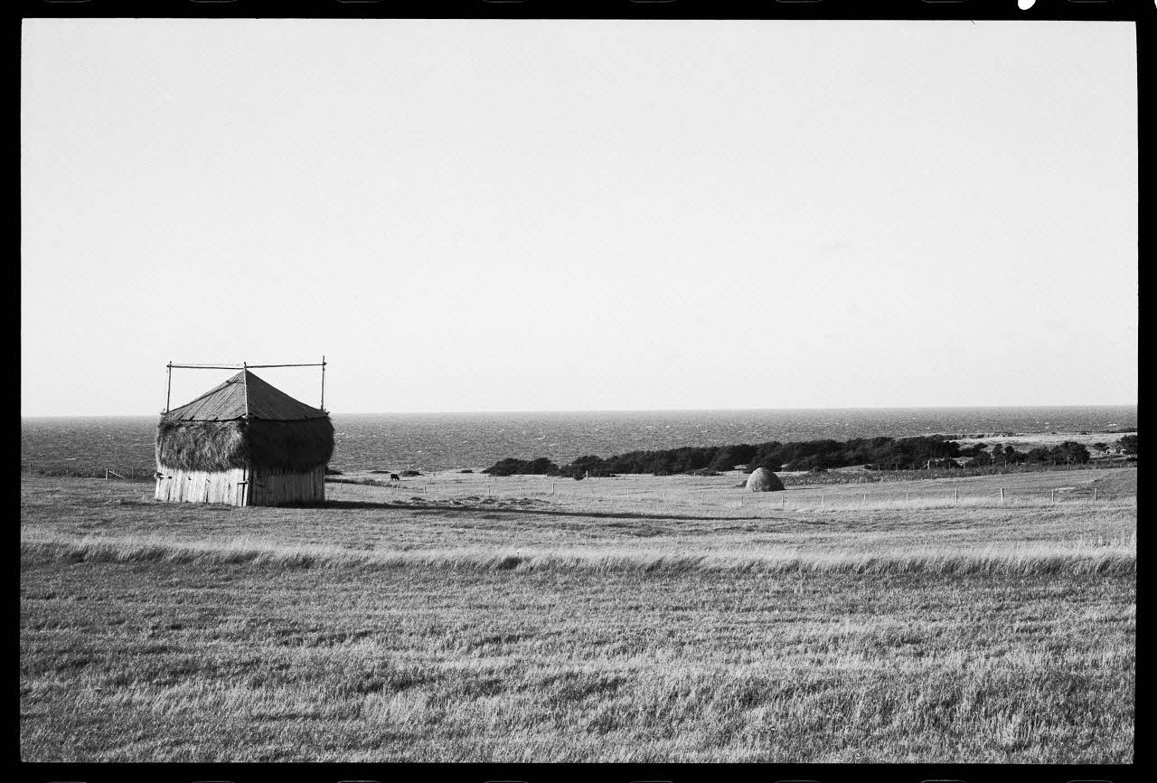 Jean Cuisenier photographie Enquête conduite par Jean Cuisenier au Québec (septembre 1976) Province du Québec, Canada 1976/9/1 Ph.1977.8.72 Photo