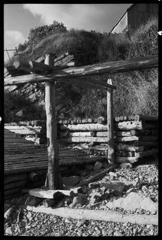 Jean Cuisenier photographie Enquête conduite par Jean Cuisenier au Québec (septembre 1976) Province du Québec, Canada 1976/9/1 Ph.1977.8.8 Photo