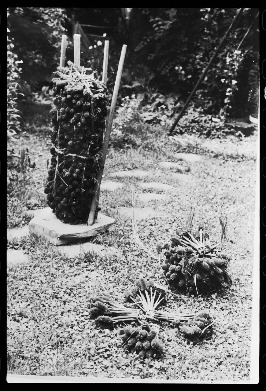 photographie Support à chardons utilisé pour carder Ph.1978.1.1192 Photo