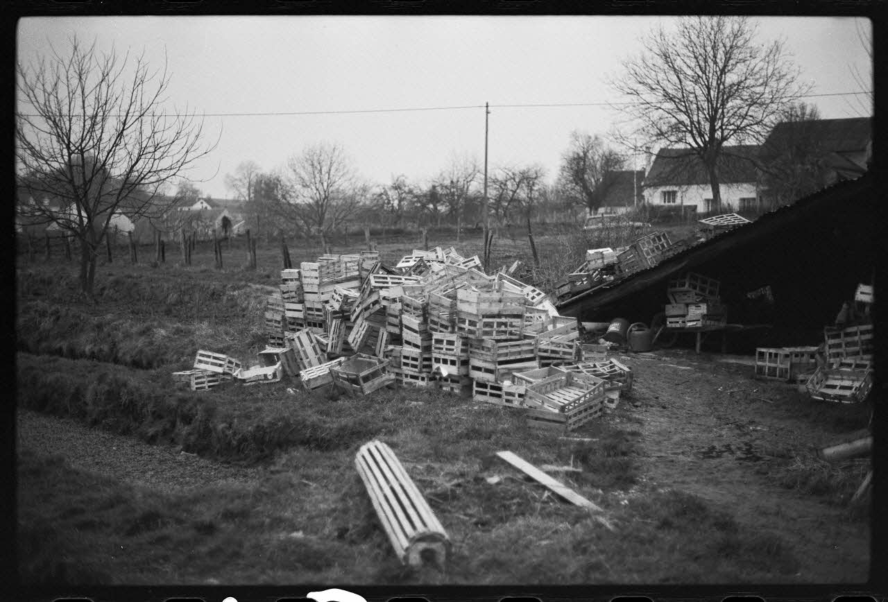 photographie Plantes diverses. Le cresson. Schuelle, trou à baller et cageots Ph.1978.19.13 Photo