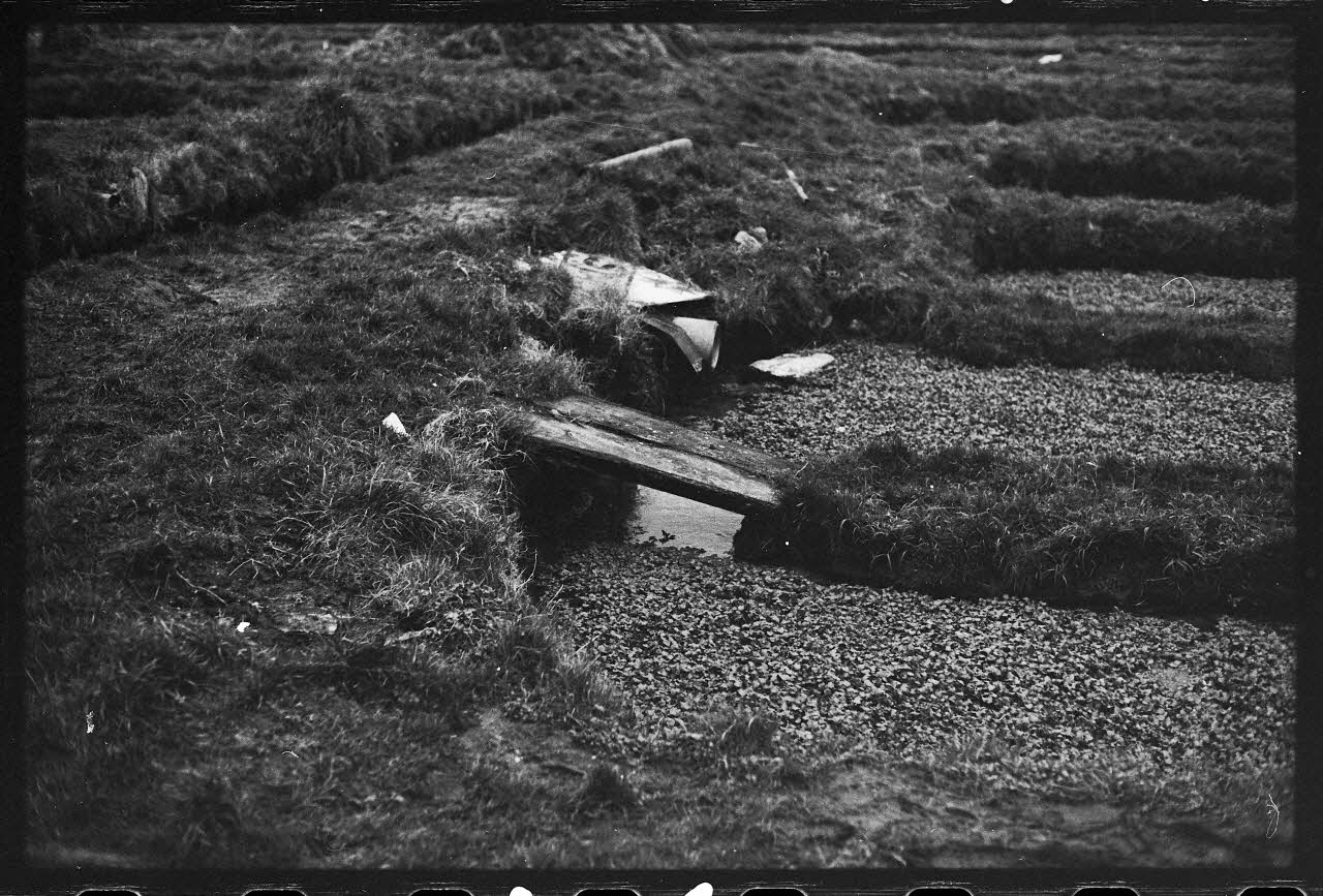 photographie Plantes diverses. Le cresson. Planchette pour la coupe du cresson Ph.1978.19.16 Photo