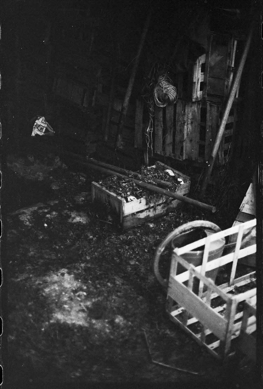 photographie Plantes diverses. Le cresson. Trou à baller et cageots Ph.1978.19.19 Photo
