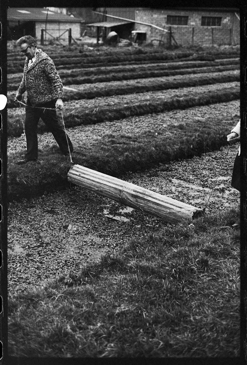 photographie Plantes diverses. Le cresson. Schuelle pour rentrer le cresson Ph.1978.19.7 Photo