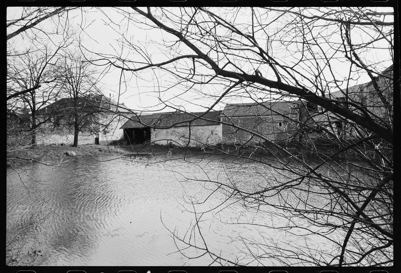 photographie Mare privée chez Monsieur Serge Castre Ph.1978.5.24 Photo