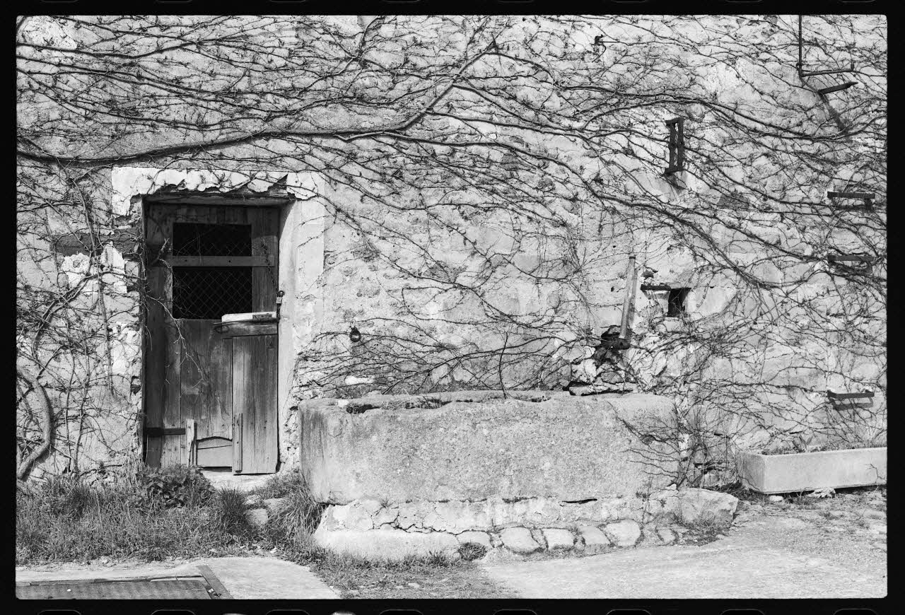 photographie Abreuvoir et hangar chez Monsieur Serge Castre Ph.1978.5.39 Photo