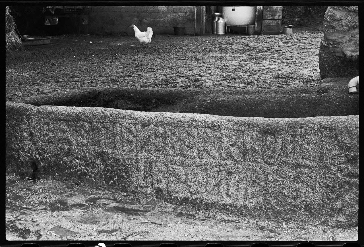 photographie Auge datée de 1850 dans laquelle on pilait la "laude". Ferme de Monsieur Daniel, douanier Ph.1978.51.4 Photo