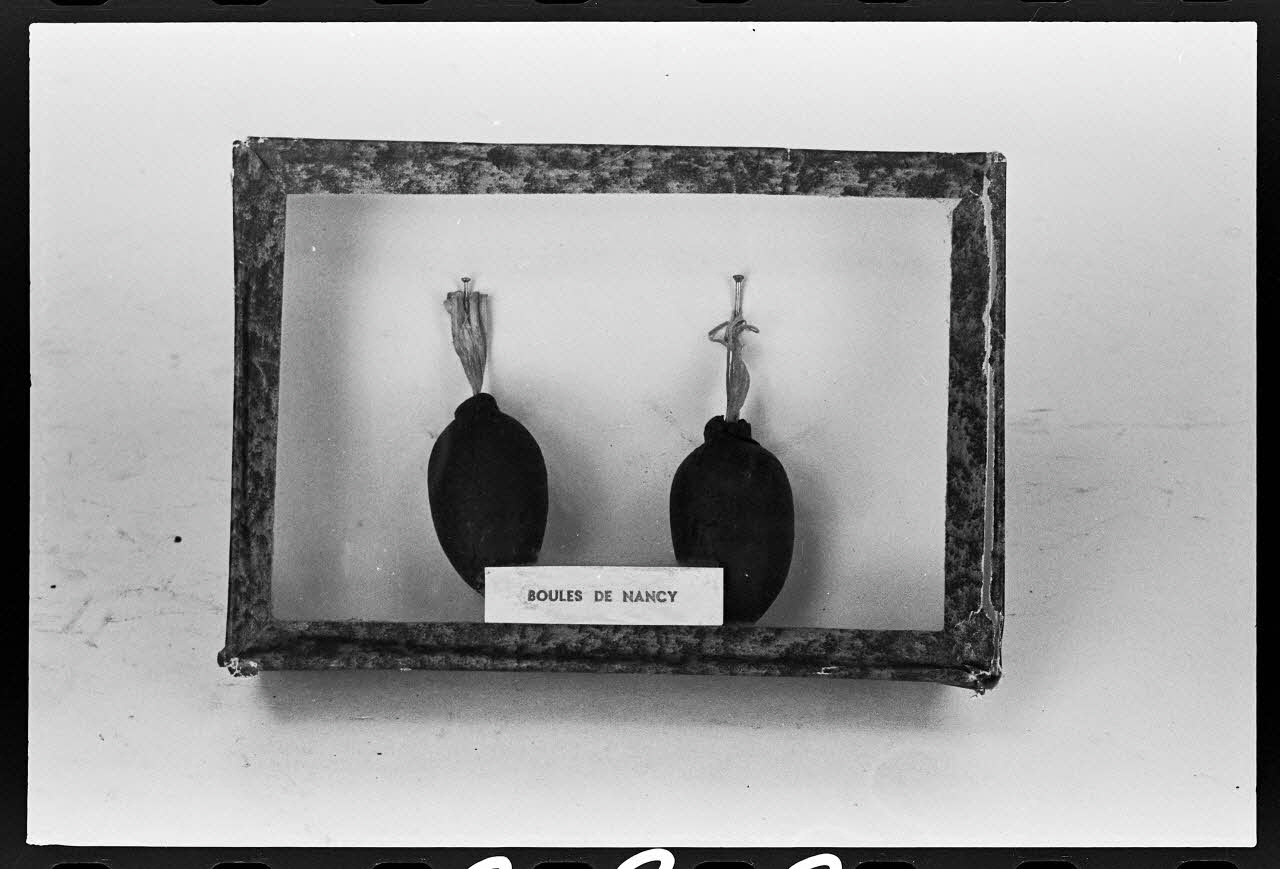 photographie MNATP. Exposition. L'homme et son corps dans la société traditionnelle (11 mai 1978 - 2 octobre 1978) Ph.1978.56.388 Photo