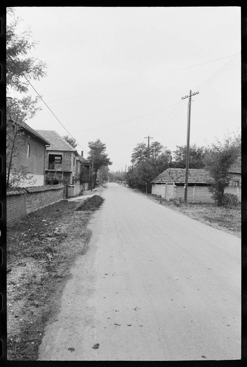 photographie Ph.1978.6.103 Photo