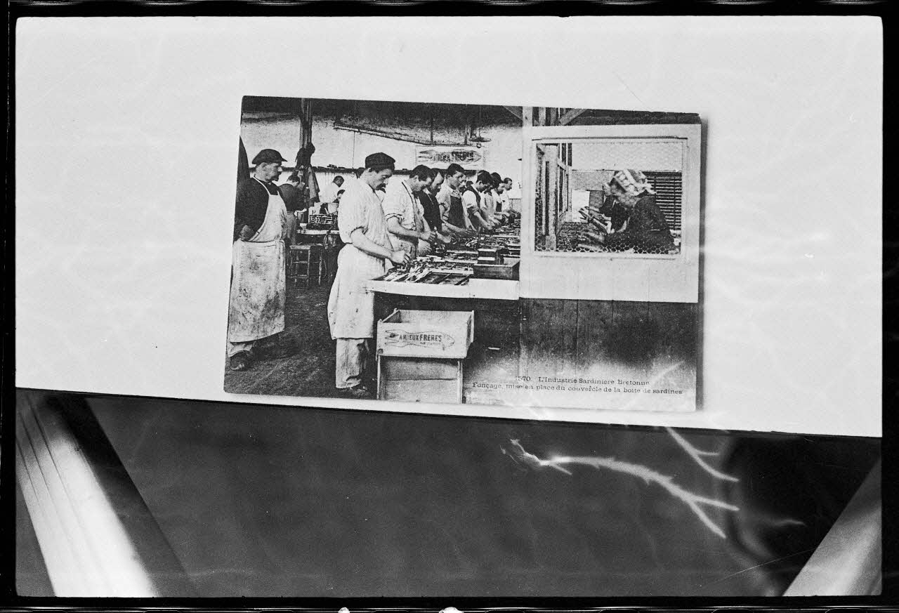 photographie Carte postale. Atelier de conservation du poisson. Fonçage et mise en place du couvercle de la boîte de sardines Ph.1978.7.12  Photo
