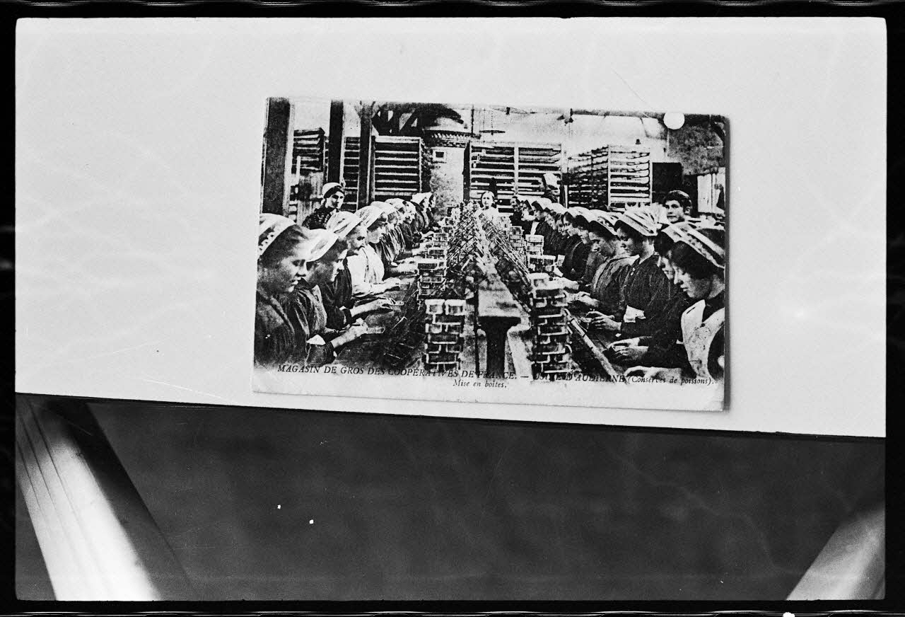 photographie Carte postale. Atelier de conservation du poisson. Mise en boîte. Magasin de gros des coopératives de France Ph.1978.7.14  Photo