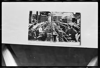photographie Carte postale. Atelier de conservation du poisson. Mise en boîte. Magasin de gros des coopératives de France Ph.1978.7.14 Photo