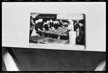 photographie Carte postale. Atelier de conservation du poisson. Le remuage du poisson. 1918 Ph.1978.7.15 Photo