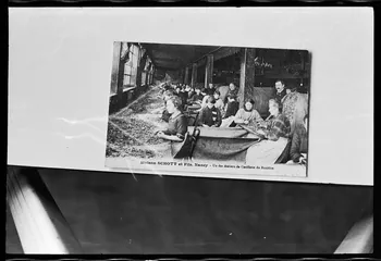 photographie Carte postale. Préparation du houblon. Maison Schott et fils Ph.1978.7.16 Photo