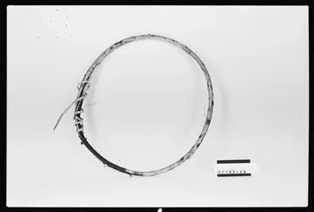 photographie Cercle en bois de châtaigner Ph.1979.1.1340 Photo